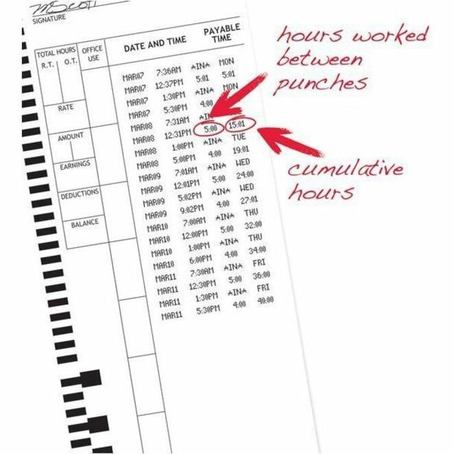 PYRAMID TIME TIME CARD FOR 4000 & 4000H - Thumbnail 4