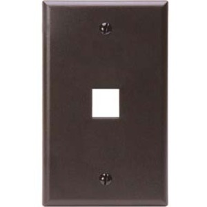 1PORT QP WALLPLATE BN