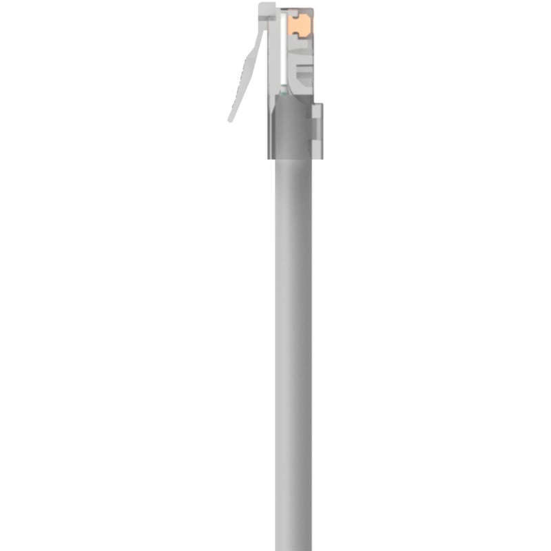 Belkin CAT5e Patch Cable - Thumbnail 4