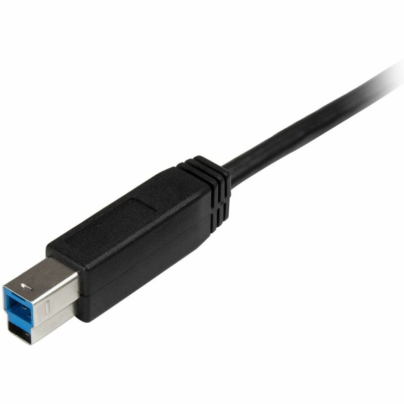 StarTech.com 2m 6 ft USB C to USB B Printer Cable - M/M - USB 3.0 (5Gbps) USB B Cable - USB C to USB B Cable - USB Type C to Type B Cable - Thumbnail 4