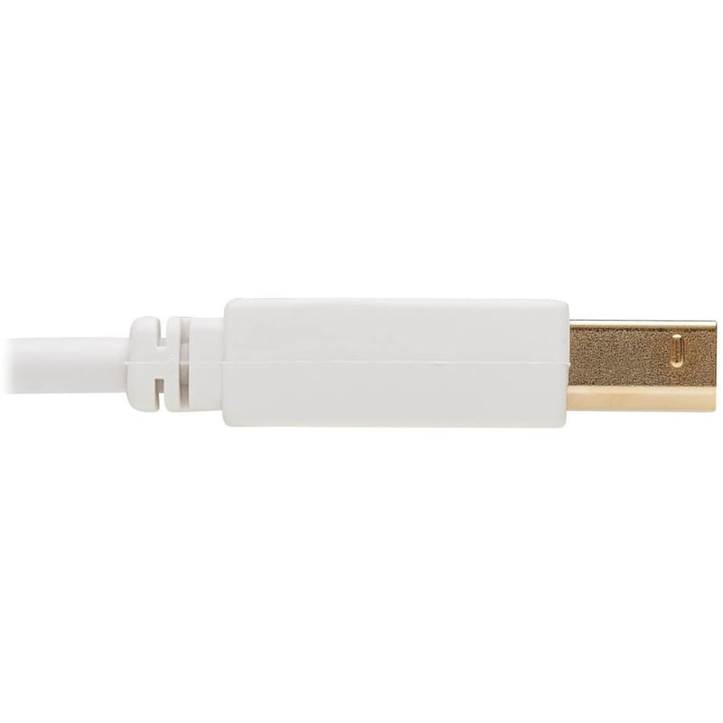 Eaton Tripp Lite Series Safe-IT USB 2.0 A to B Antibacterial Cable (M/M), White, 10 ft. (3.05 m) - Thumbnail 2