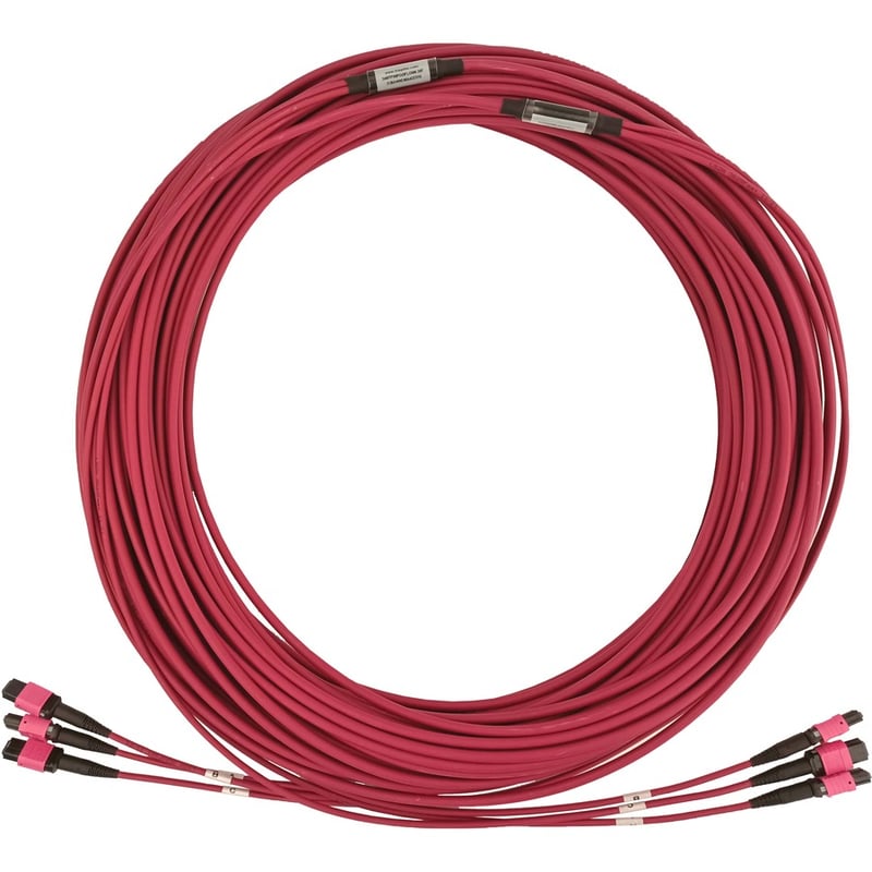Tripp Lite by Eaton 40/100/400G Multimode 50/125 OM4 Fiber Optic Cable (3x8F MTP/MPO-PC F/F) LSZH Magenta 45 m (147.6 ft.) - Thumbnail 2