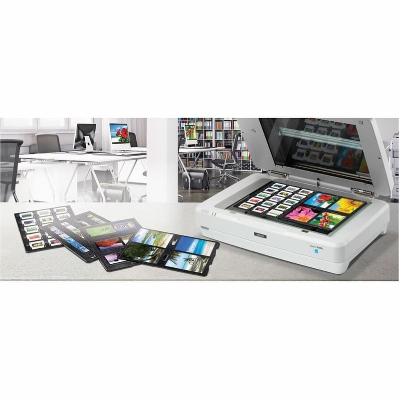 Epson Expression 13000XL Large Format Flatbed/Film Scanner - 2400 dpi Optical