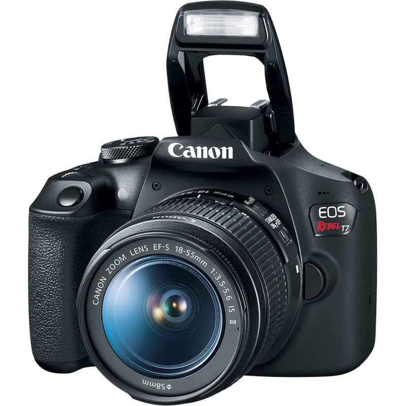 Canon EOS Rebel T7 24.1 Megapixel Digital SLR Camera with Lens - 0.71" - 2.17" (Lens 1), 2.95" - 11.81" (Lens 2) - Thumbnail 2