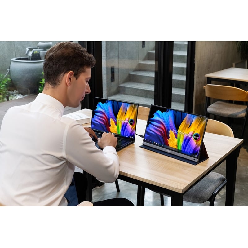 Asus ZenScreen MQ16AH 16" Class Full HD OLED Monitor - 16:9