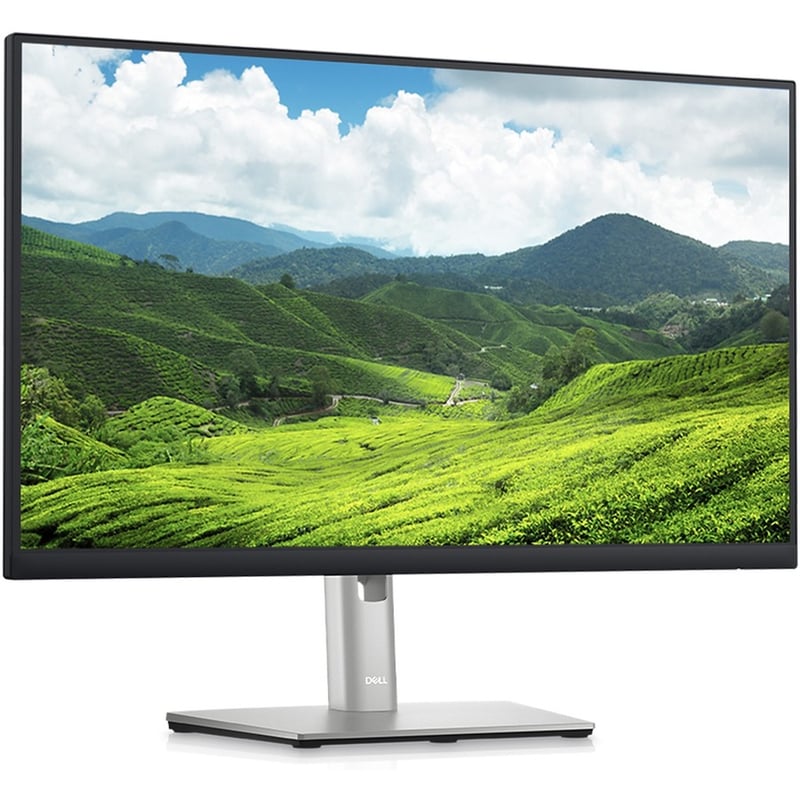 Dell P2423D 24" Class QHD LCD Monitor - 16:9 - Black, Silver - Thumbnail 5