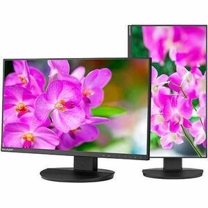 23.8IN IPS LED BACKLIT LCD MONI ULTRA NARROW BEZELS 1920X1080 - Thumbnail 1