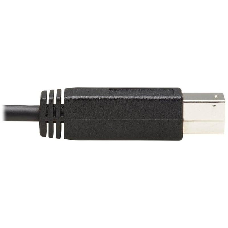 Eaton Tripp Lite Series USB-C to USB-B Cable (M/M) - USB 3.2, Gen 2 (10 Gbps), Thunderbolt 3 Compatible, 20-in. (50.8 cm) - Thumbnail 4
