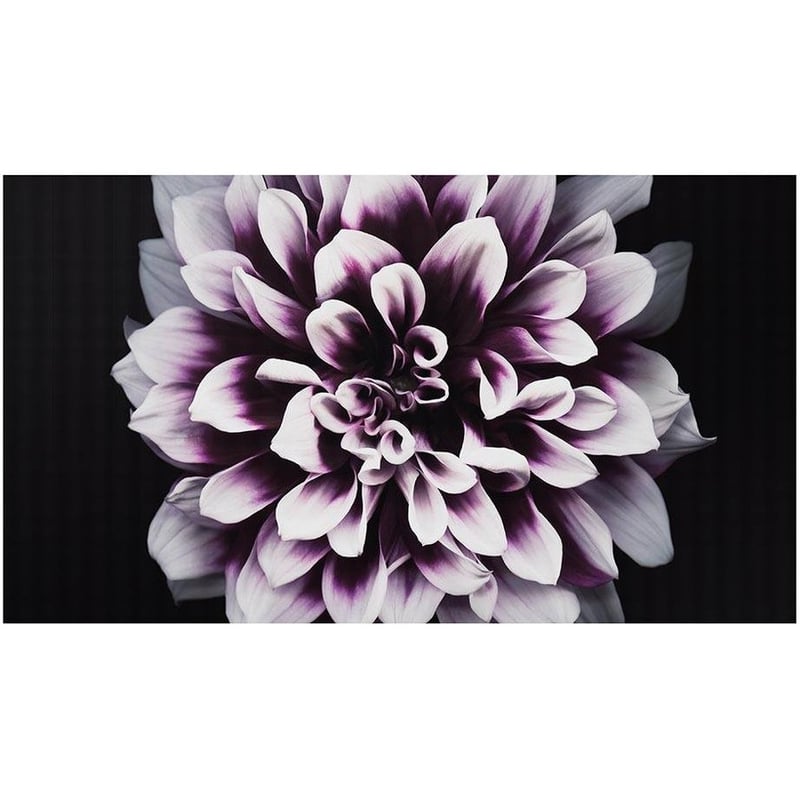Samsung The Wall IW008J Digital Signage Display - Thumbnail 1