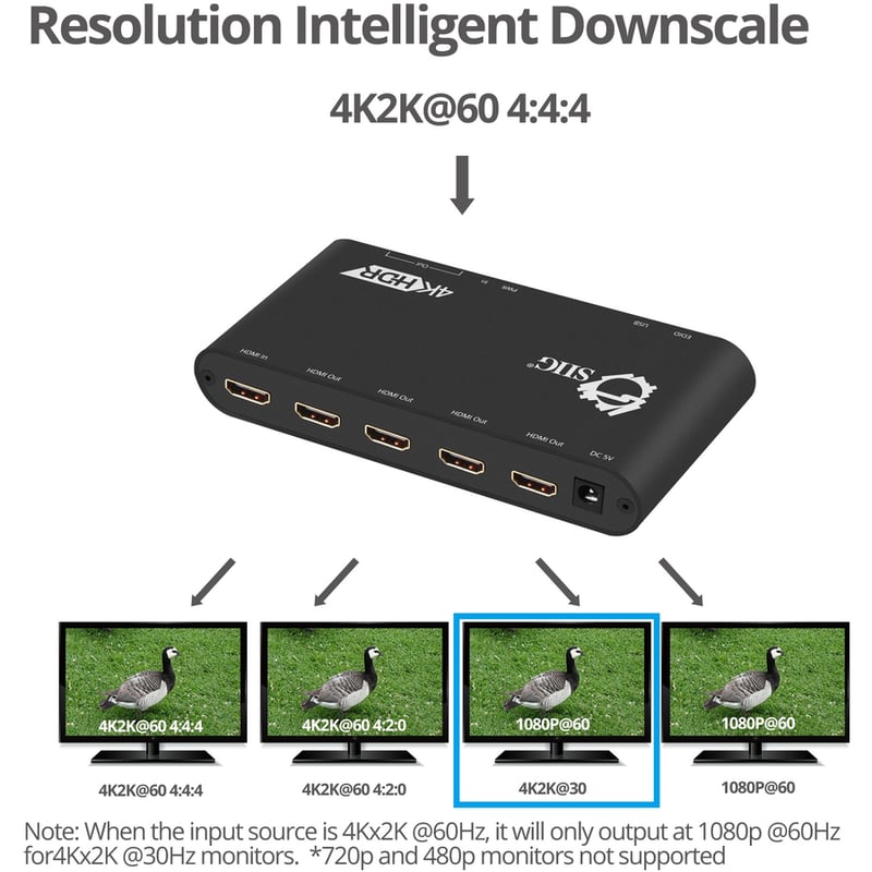 SIIG 1x4 HDMI 2.0 Splitter / Distribution Amplifier with Auto Video Scaling - 4K 60Hz HDR - Thumbnail 5