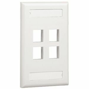 SGL GANG FLUSH MOUNT V LBL ELECTRIC IVRY