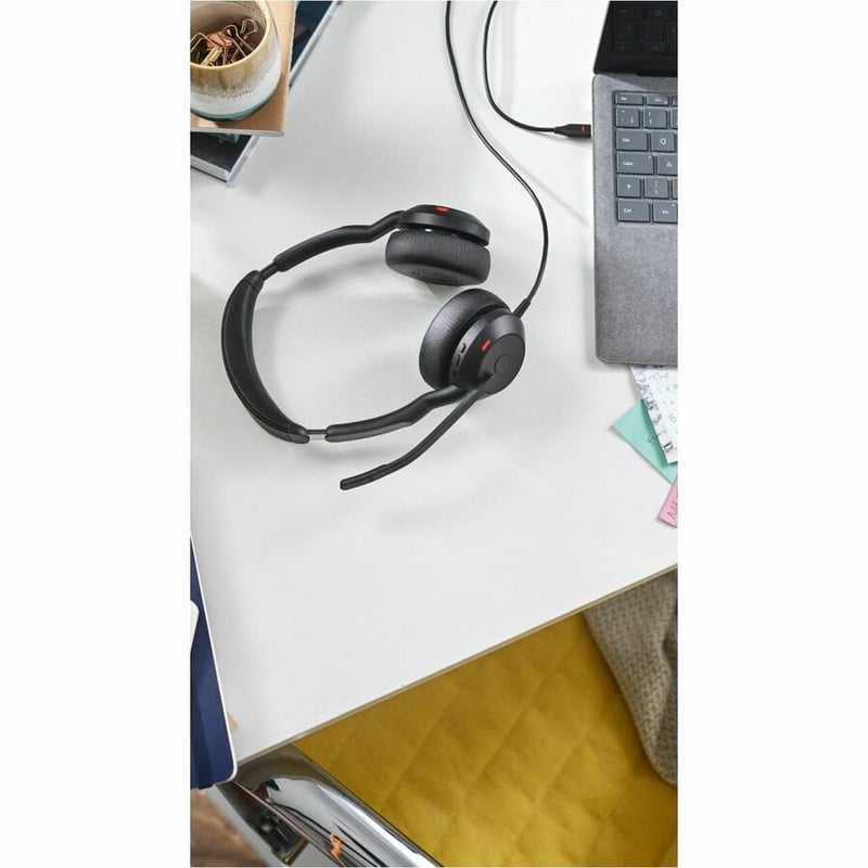 JABRA EVOLVE2 50 USB-C/A MS STEREO W/O BT - Thumbnail 2