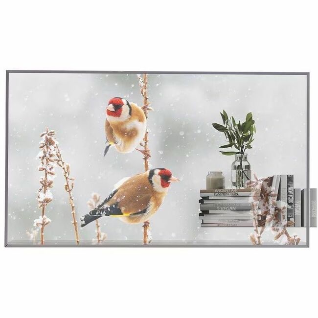LG 55EW5P-M Digital Signage Display - Thumbnail 1
