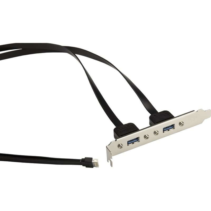 Supermicro USB 3.1 B Key to USB 3.0A Female x2 55cm Cable - Thumbnail 2