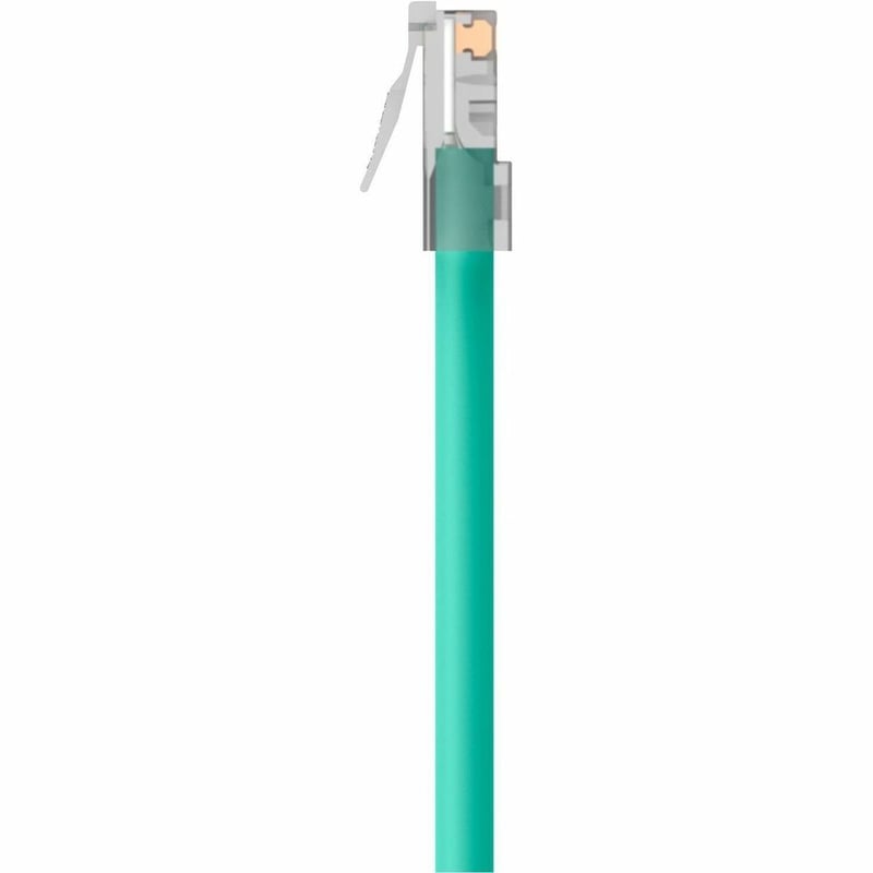 Belkin Cat6 UTP Patch Cable - Thumbnail 5