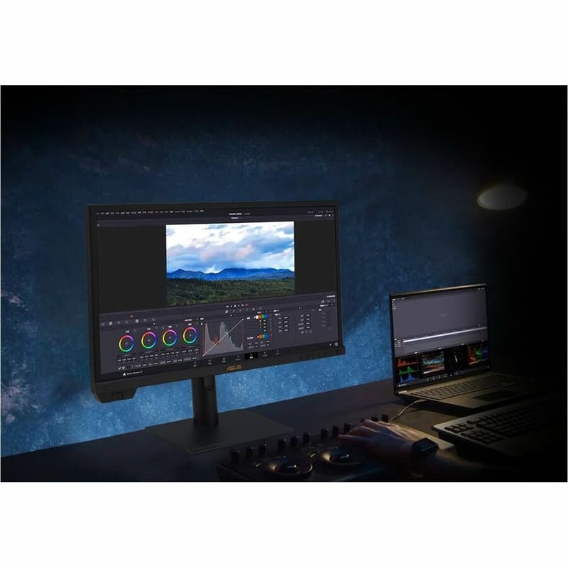 Asus ProArt PA24US 24" Class 4K UHD LED Monitor - 16:9