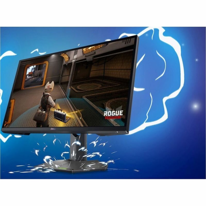 DELL 25 GAMING MONITOR