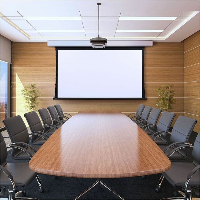 Draper Acumen V 123" Projection Screen - Thumbnail 1