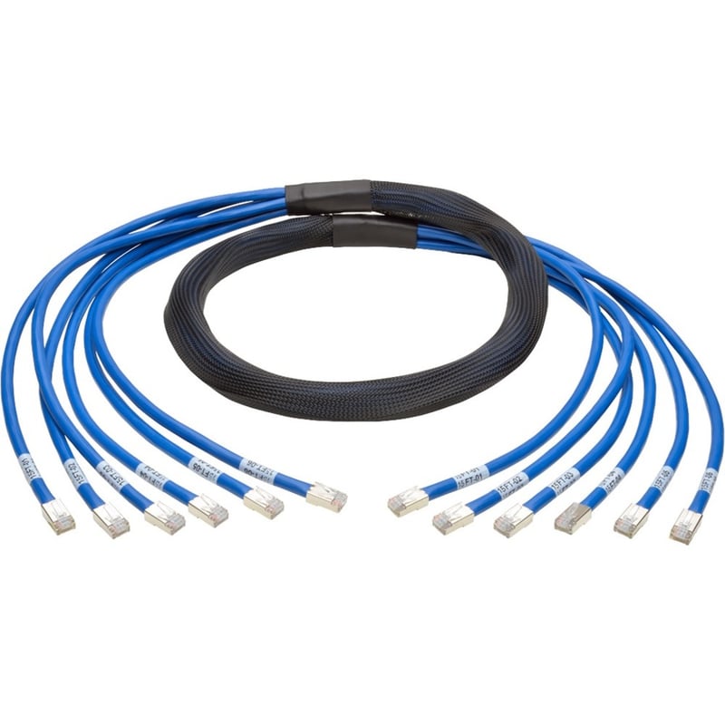 Eaton Tripp Lite Series Cat6a 10G Pre-Terminated Copper Trunk Assembly (6x RJ45 M/M), Blue, 10 ft. (3.05 m) - Thumbnail 1