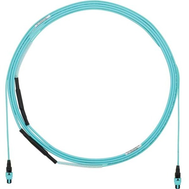 Panduit OM4 24F OFNP PanMPO-F Type B Opt IL Pull Eye