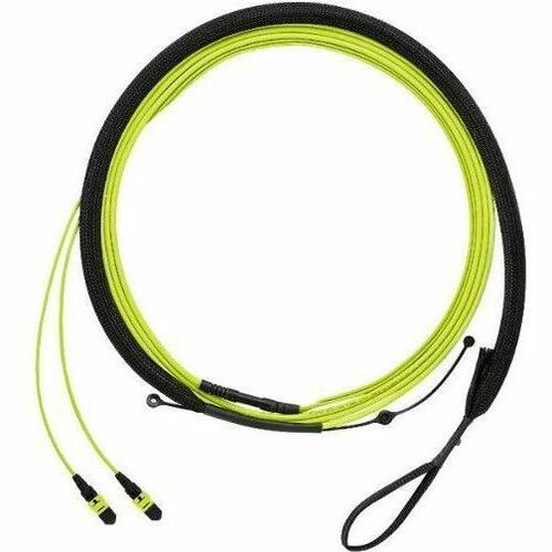 Panduit QuickNet PanMPO Female Trunk Cable Assembly, HD Flex Transition