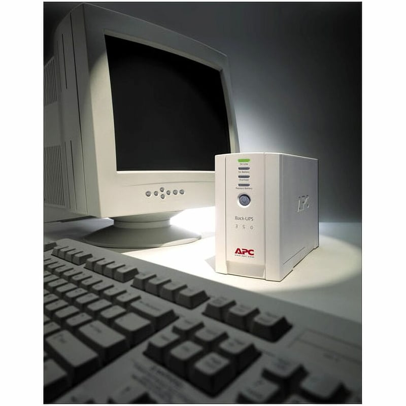 APC Back-UPS CS 350VA - Thumbnail 3