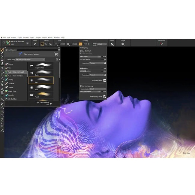 Corel Painter 2023 - Box Pack - 1 User - Academic - Thumbnail 1
