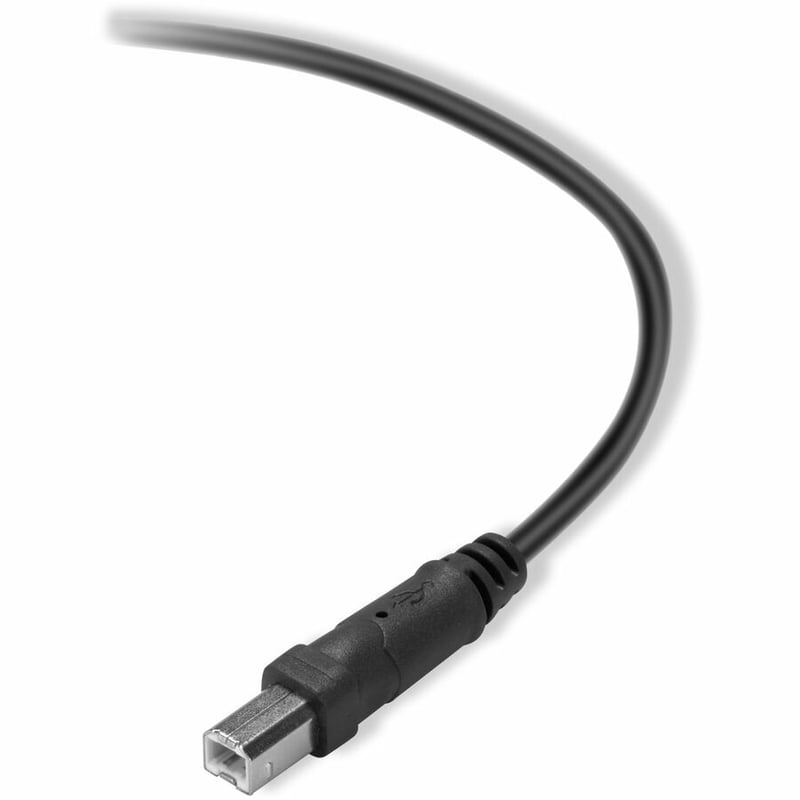 Belkin 3ft USB Cable - USB-A M to USB-B M - Printer, Scanner, Hard Drive compatible - Thumbnail 3