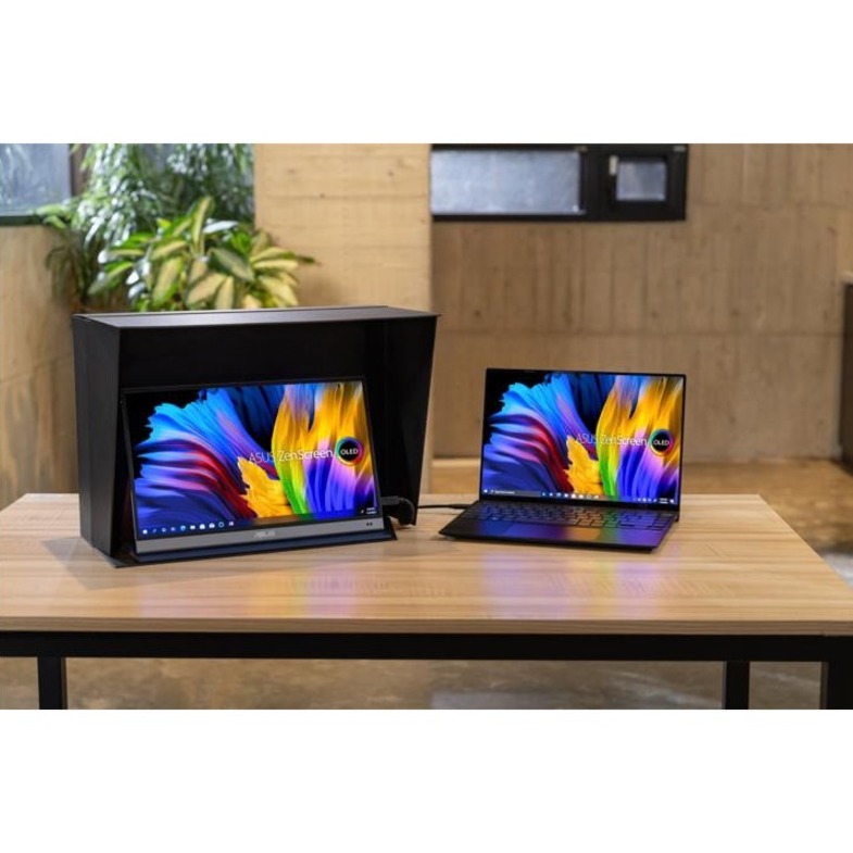Asus MQ13AH 13" Class Full HD OLED Monitor