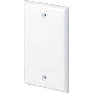 FACEPLATE SCREW ON BLANK EI 1 GANG EA.