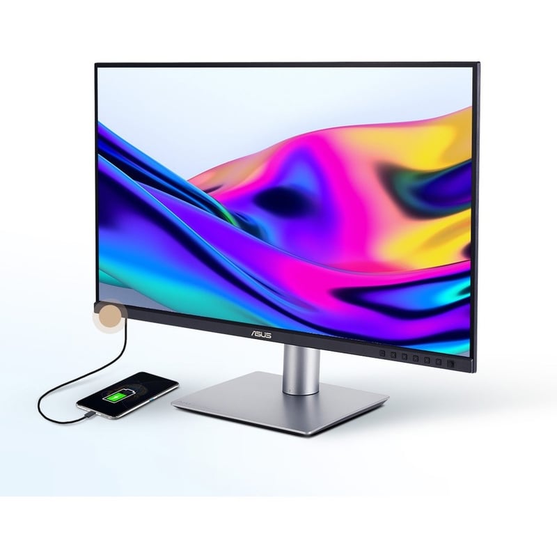 Asus ProArt PA248CRV 24" Class WUXGA LCD Monitor - 16:10 - Silver