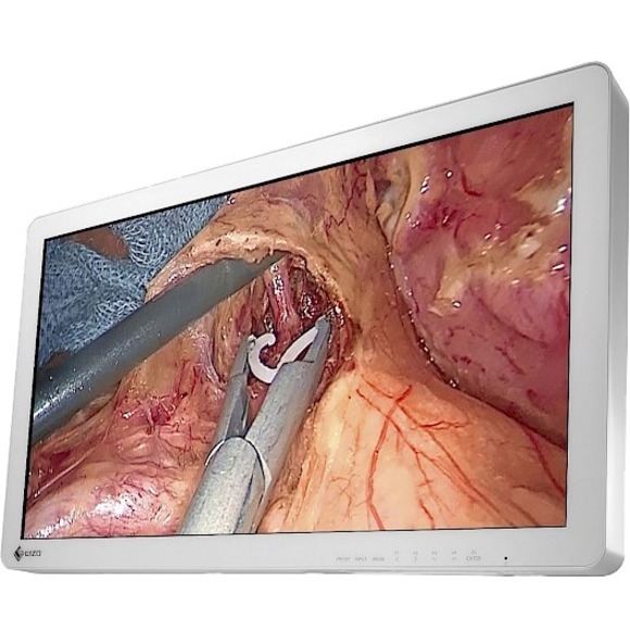 EIZO CuratOR EX2721 27" Class Full HD LCD Monitor - 16:9 - White - Thumbnail 4