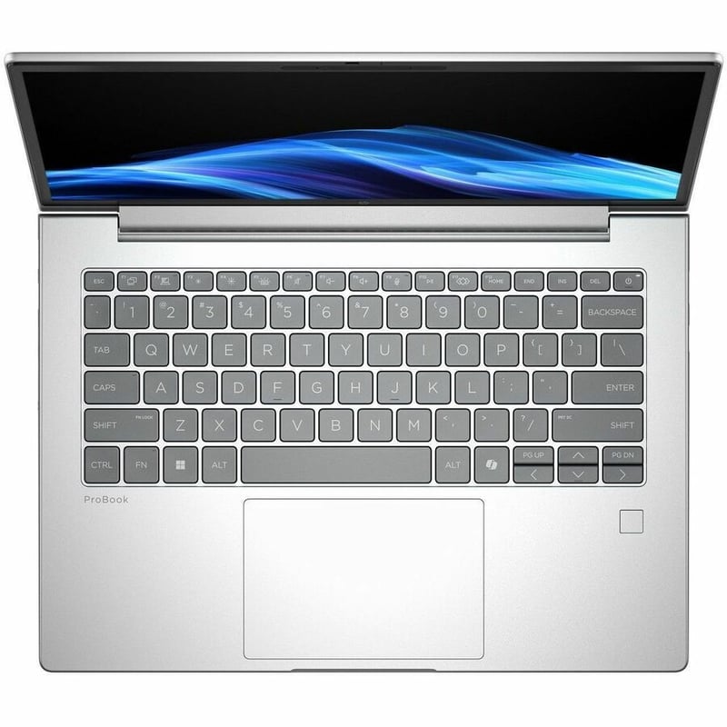 HP ProBook 4 G1a 14" Notebook - 4G - 60 Hz - AMD Ryzen 7 250 - 16 GB - 512 GB SSD