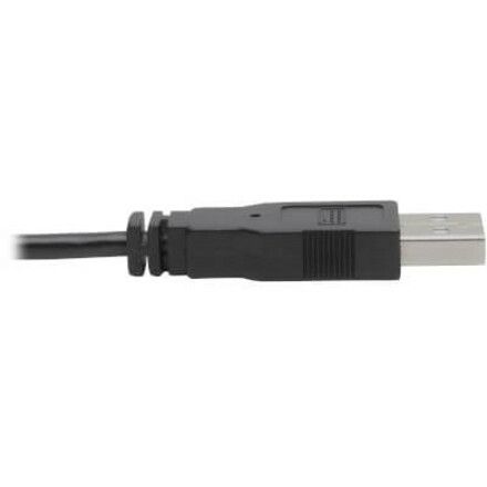 Tripp Lite by Eaton DVI to USB-A Dual KVM Cable Kit - (2x Male/2x Male) 1920 x 1200 (1080p) @ 60 Hz 10 ft. (3.05 m) - Thumbnail 5