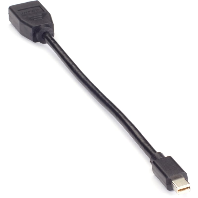 Black Box Mini DisplayPort-to-DisplayPort Adapter - Thumbnail 1
