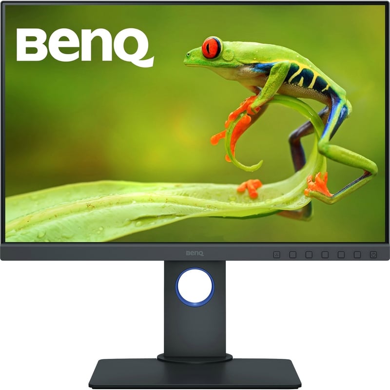 BenQ PhotoVue SW240 WUXGA LCD Monitor - 16:10 - Gray