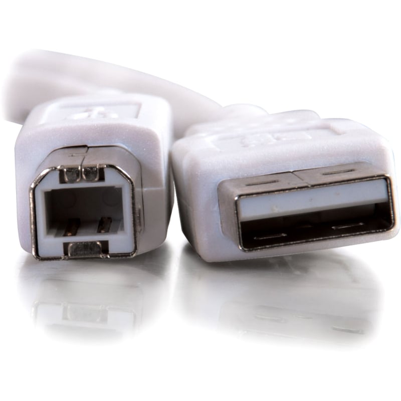 C2G 16.4ft USB to USB B Cable - USB A to USB B - USB 2.0 - White - M/M - Thumbnail 2