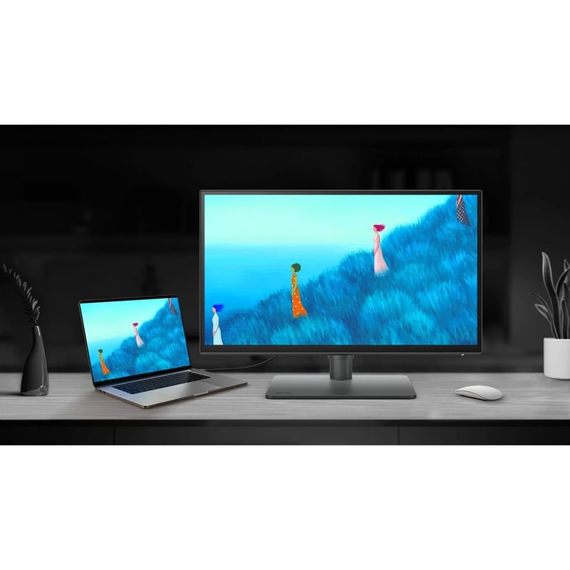 BenQ DesignVue PD2506Q 25" Class WQHD LCD Monitor - 16:9 - Dark Gray