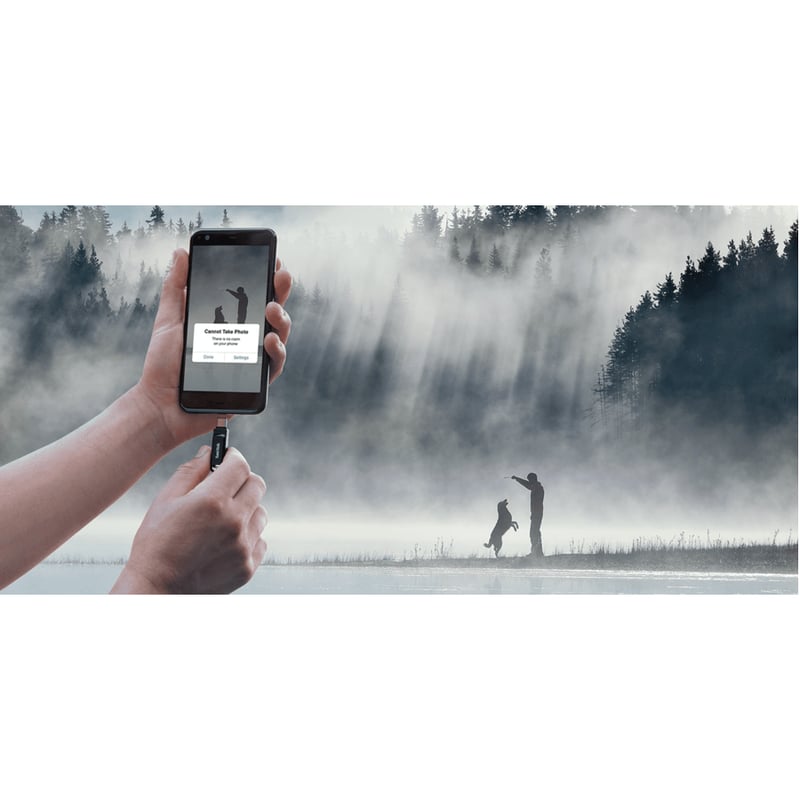 SanDisk Ultra Dual Drive Go USB Type-C 256GB