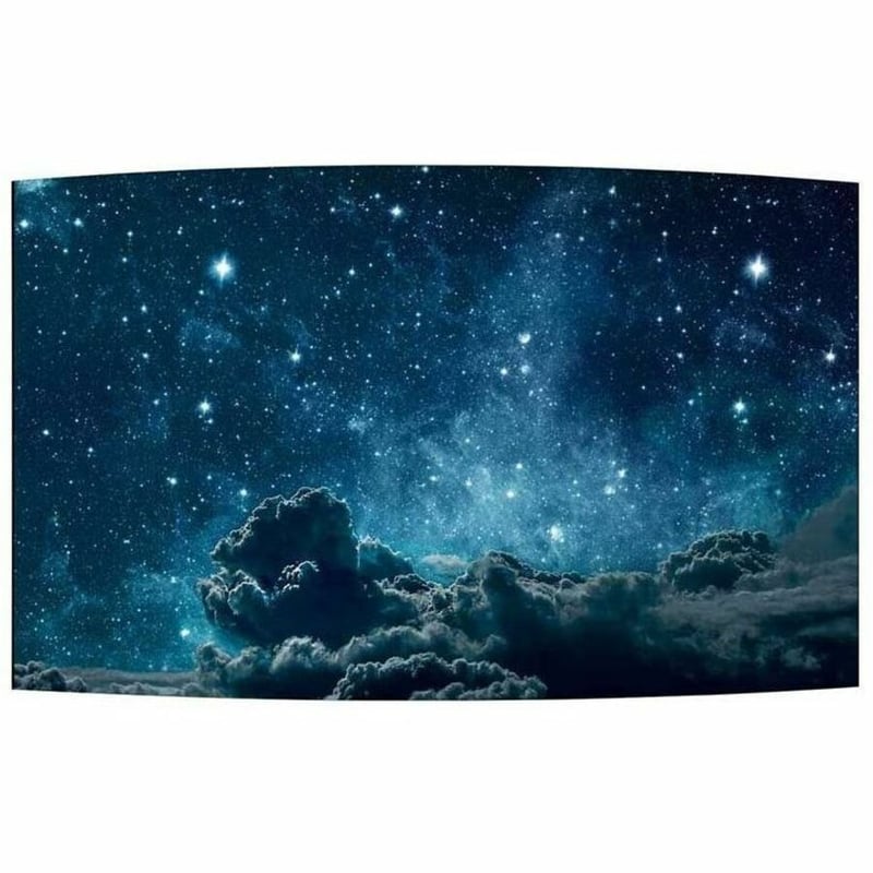 LG 55EF5F-L Open-frame Digital Signage Display - Thumbnail 4