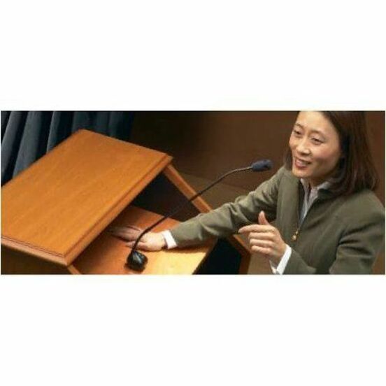 MULTI-PATTERN GOOSENECK MICROPHONE WITH FLANGE MOUNT, 18-INCH GOOSENECK - RF SHI - Thumbnail 2