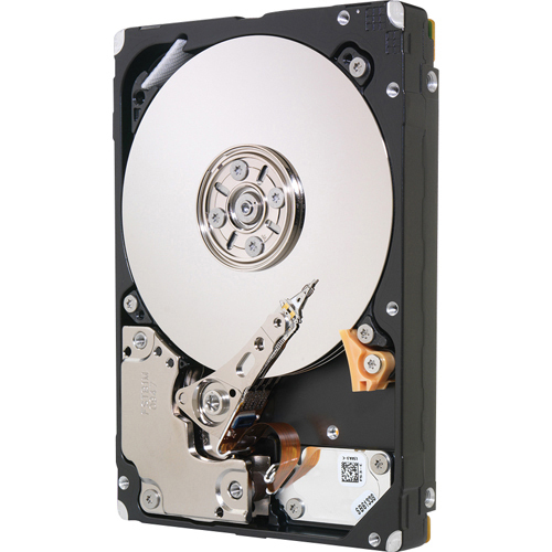 SEAGATE SAVVIO 10K.4 600 GB SAN HDD 2.5 INTERNAL FIBRE