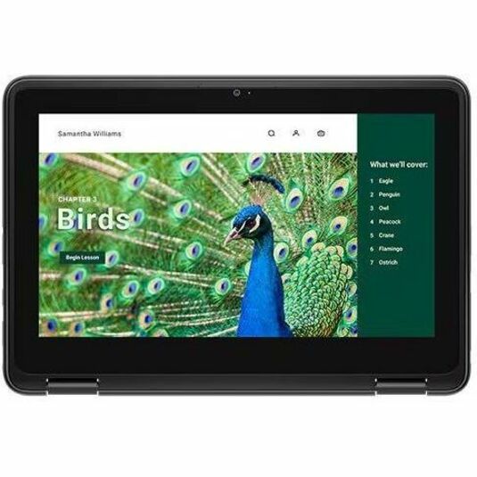CHRMBK 3120 N100 4GB 1DIMM 64GB EMMC 11.6 HD+NT 1366X768 3C 65W - Thumbnail 4