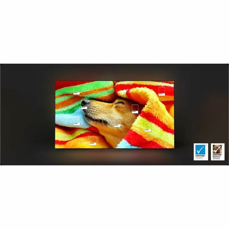 2025 77IN S85F OLED 4K TV S85F SERIES OLED - Thumbnail 4