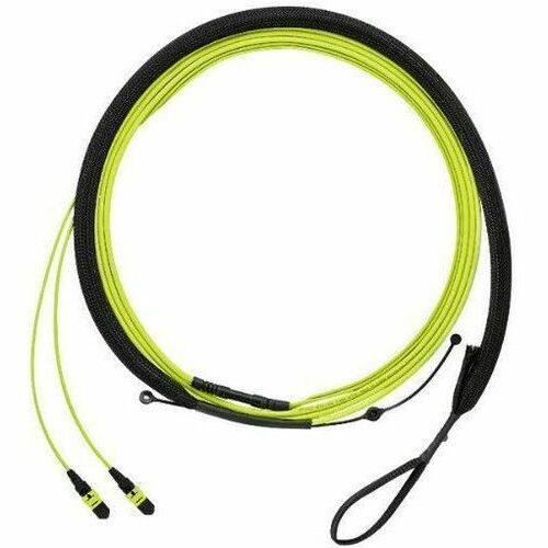 Panduit QuickNet PanMPO Female Trunk Cable Assembly, HD Flex Transition