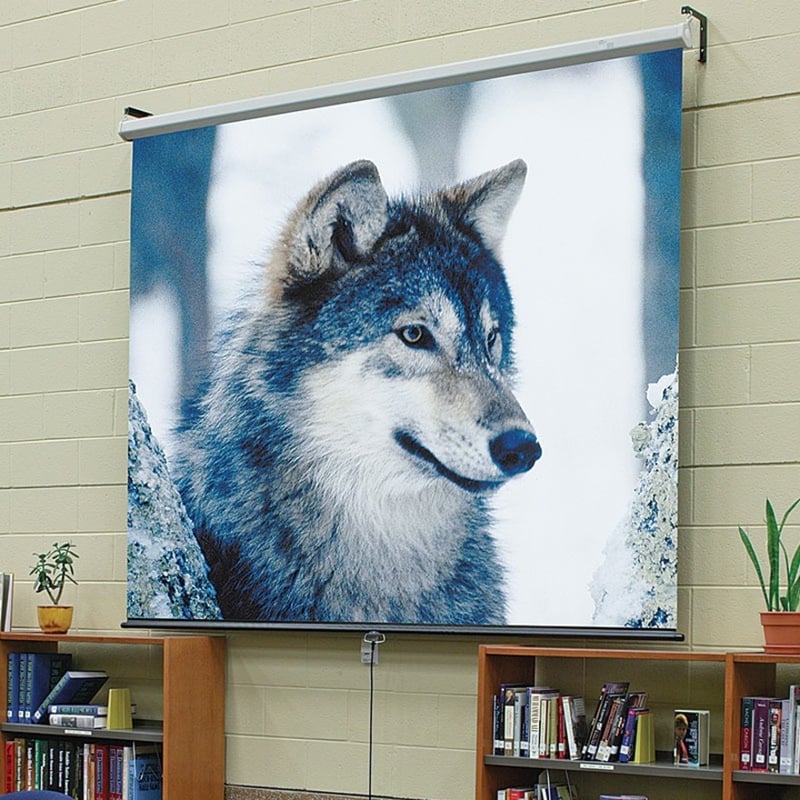 Draper Luma 100" Manual Projection Screen - Thumbnail 3